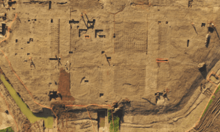 HS2 excavations at Coleshill Manor